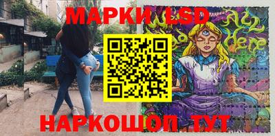 Альфа ПВП Кандалакша