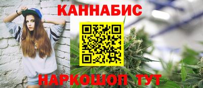 Альфа ПВП Кандалакша