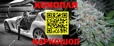 Альфа ПВП Кандалакша