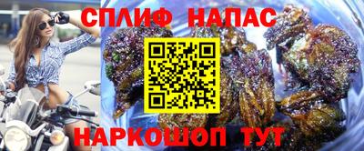 Альфа ПВП Кандалакша