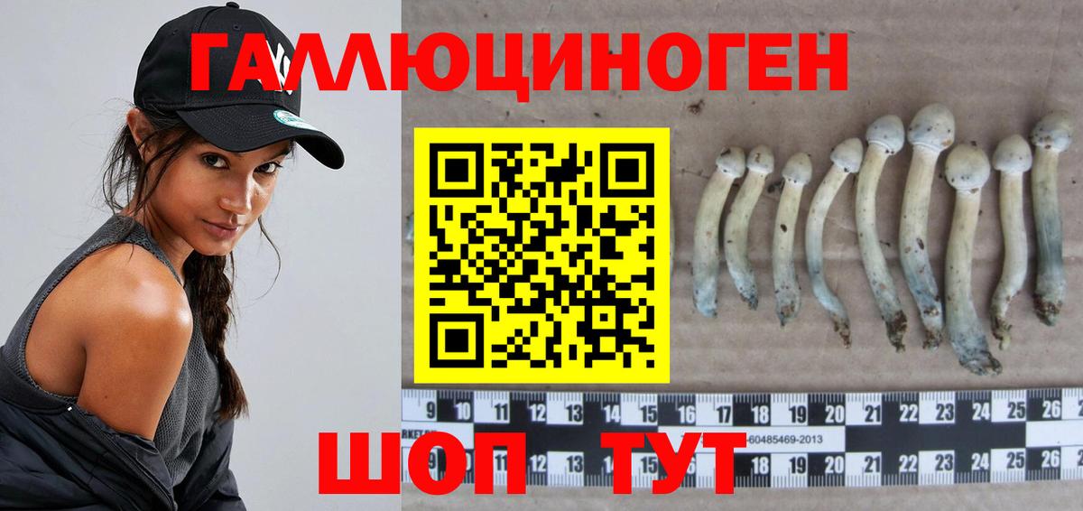 Галлюциногенные грибы мицелий  Вход с VPN  Крымск  Галлюциногенные грибы Cubensis 